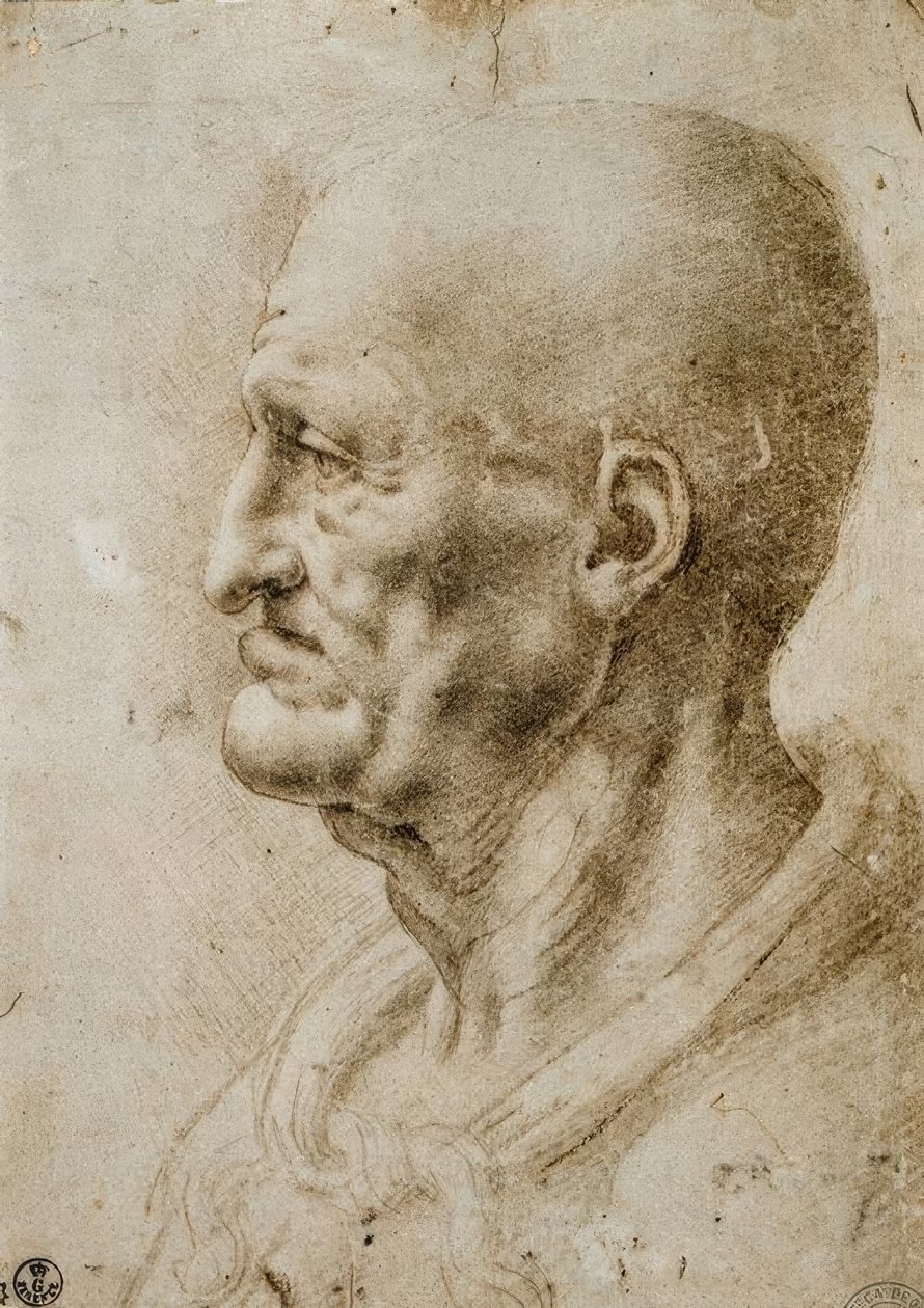 Hovedstudie af en gammel mand af Leonardo da Vinci