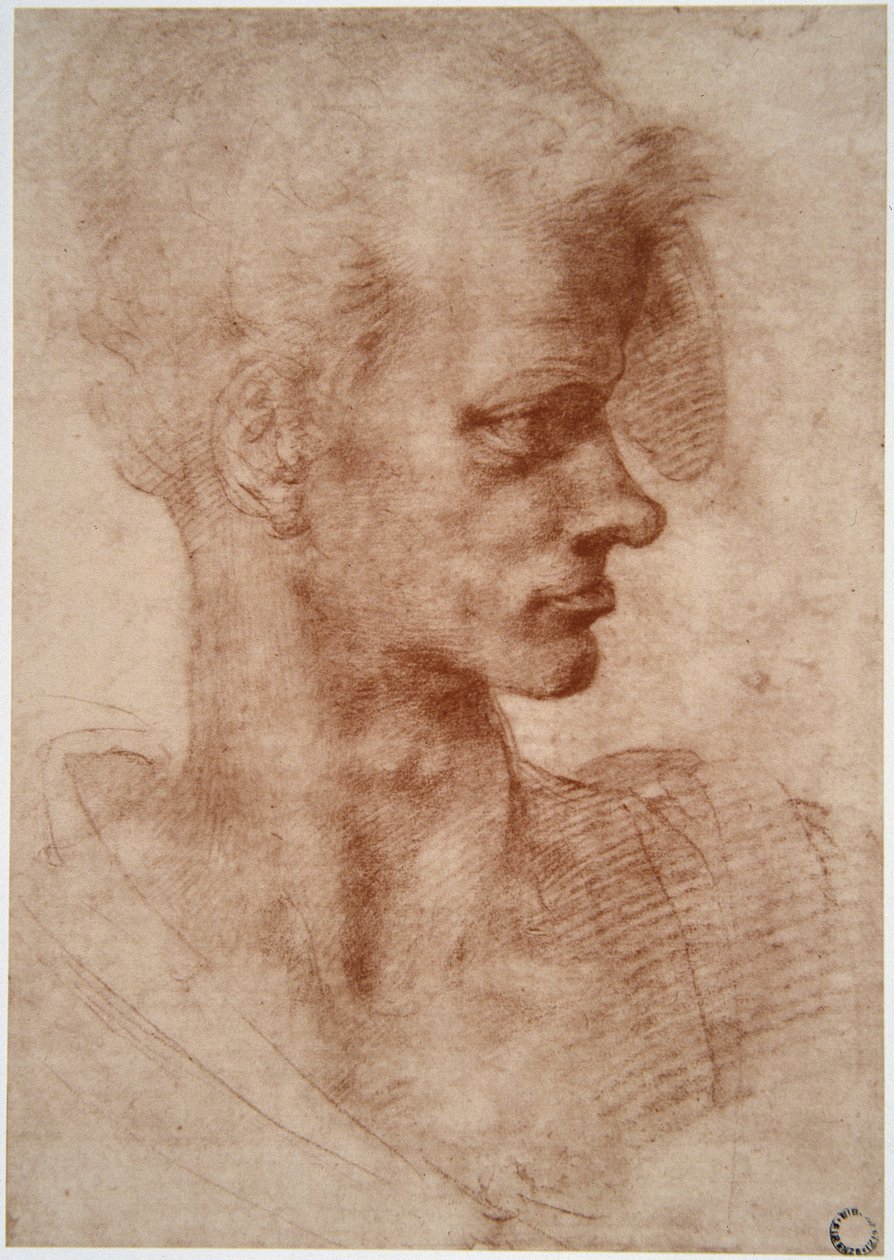Leonardo da Vinci (Leonardo da Vinci) (1452 - 1519): Karikaturportræt af en ung mand (Imagine) af Leonardo da Vinci