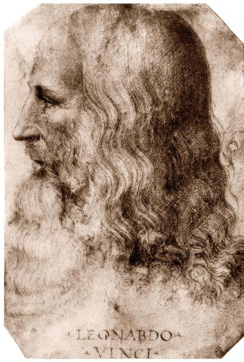 Leonardo Da Vinci af Leonardo da Vinci