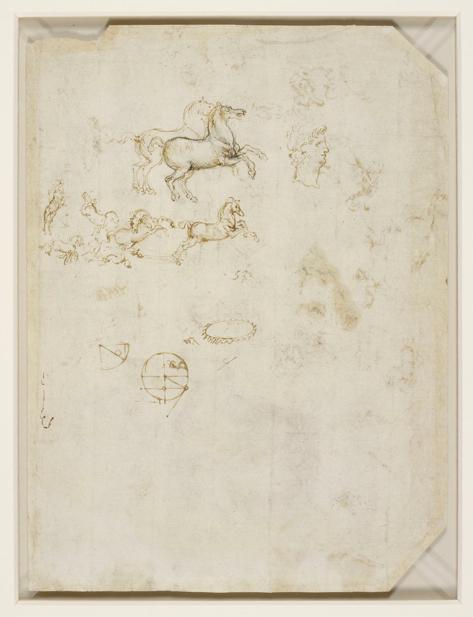 Leonardo da Vinci - Verso Springende heste og Neros hoved ca. 1503-4 af Leonardo da Vinci