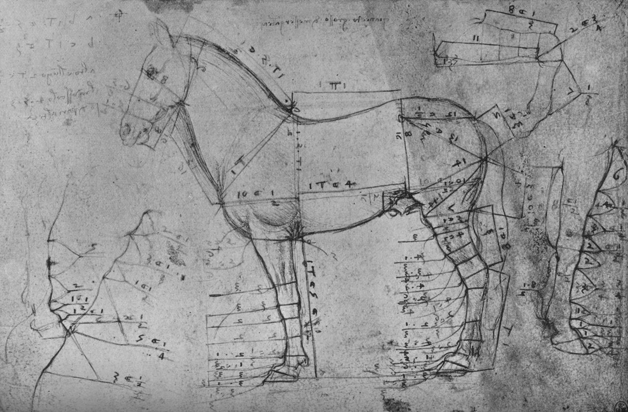 Målt tegning af en hest i profil til venstre, c1480 1945 af Leonardo da Vinci