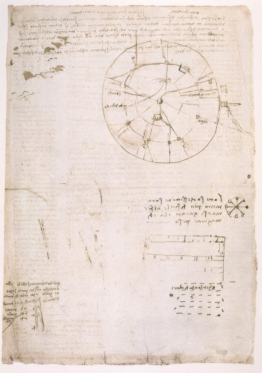 Noter om dannelsen af ​​den menneskelige stemme af Leonardo da Vinci