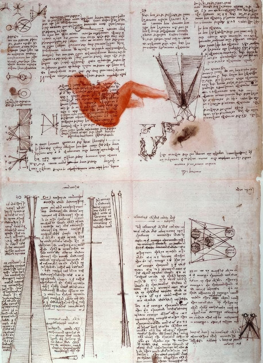 Noter om visionens fysiologi ... af Leonardo da Vinci