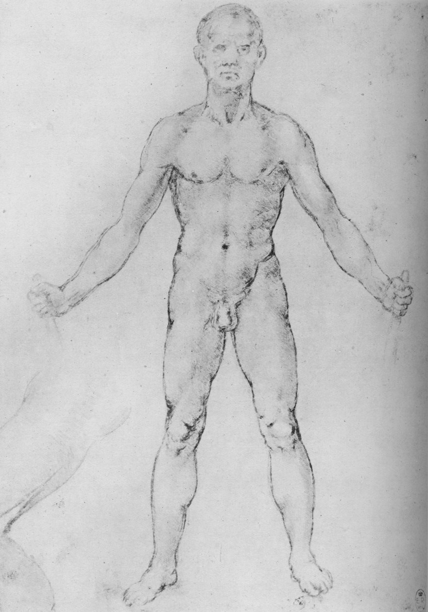 Nøgen mand med arme strakt ud, set forfra, c1480 1945 af Leonardo da Vinci