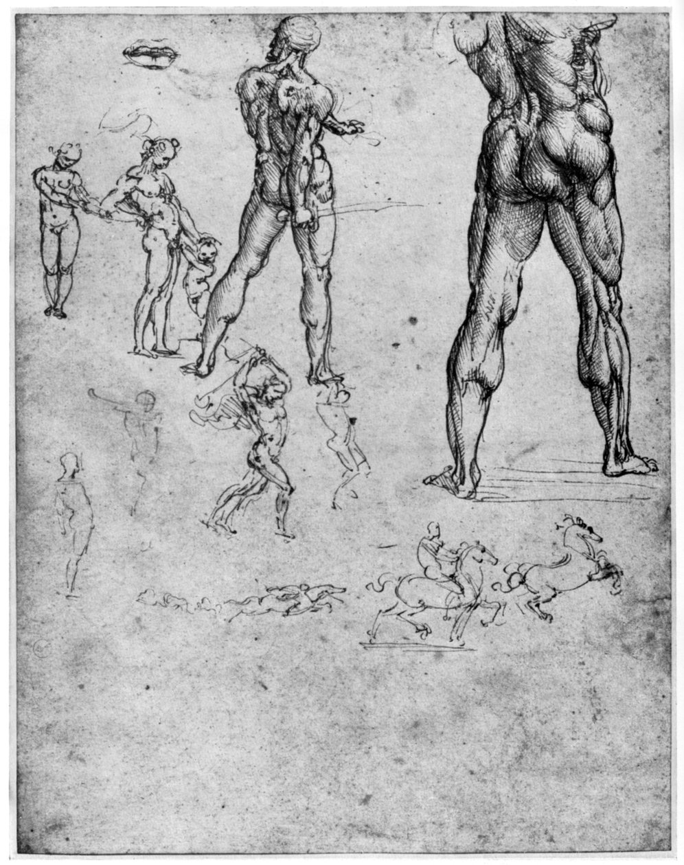 Nøgenstudier til Slaget ved Anghiari, c1503-1505 1954 af Leonardo da Vinci