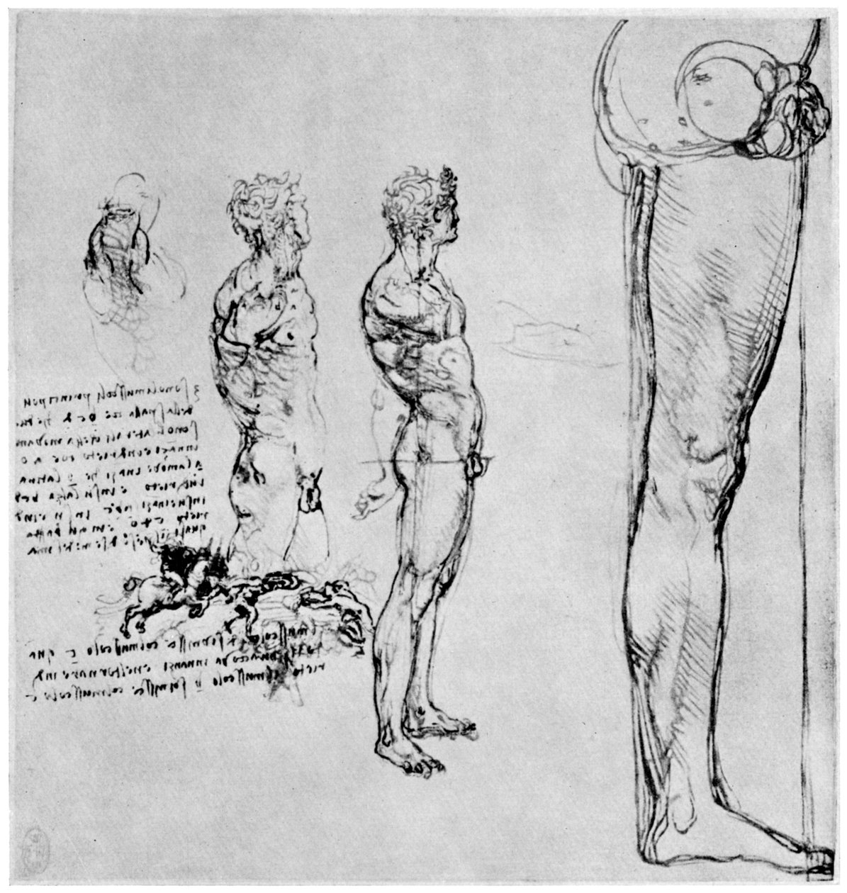 Nøgenstudier til Slaget ved Anghiari, c1503-1505 1954 af Leonardo da Vinci