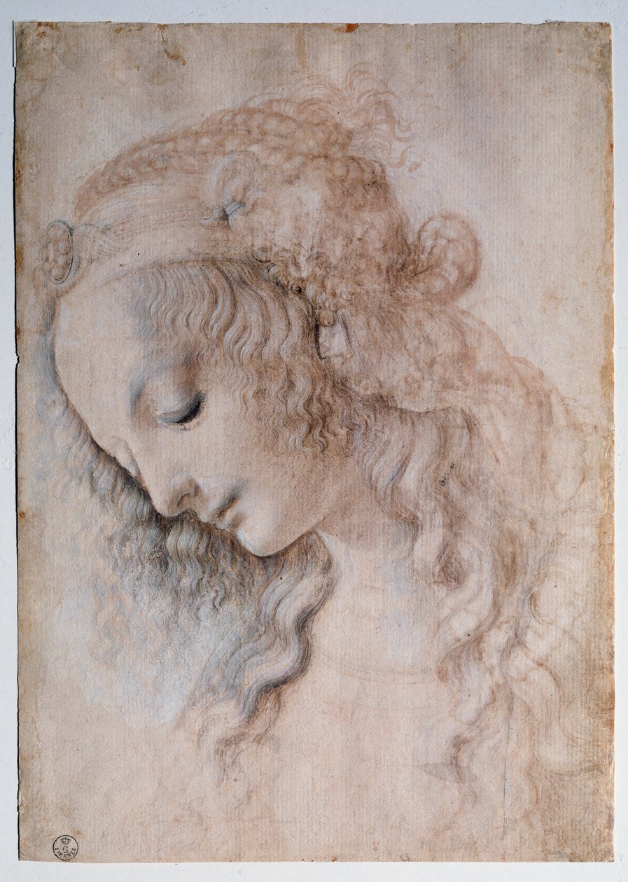 Portræt af pige - tegning af Leonardo da Vinci