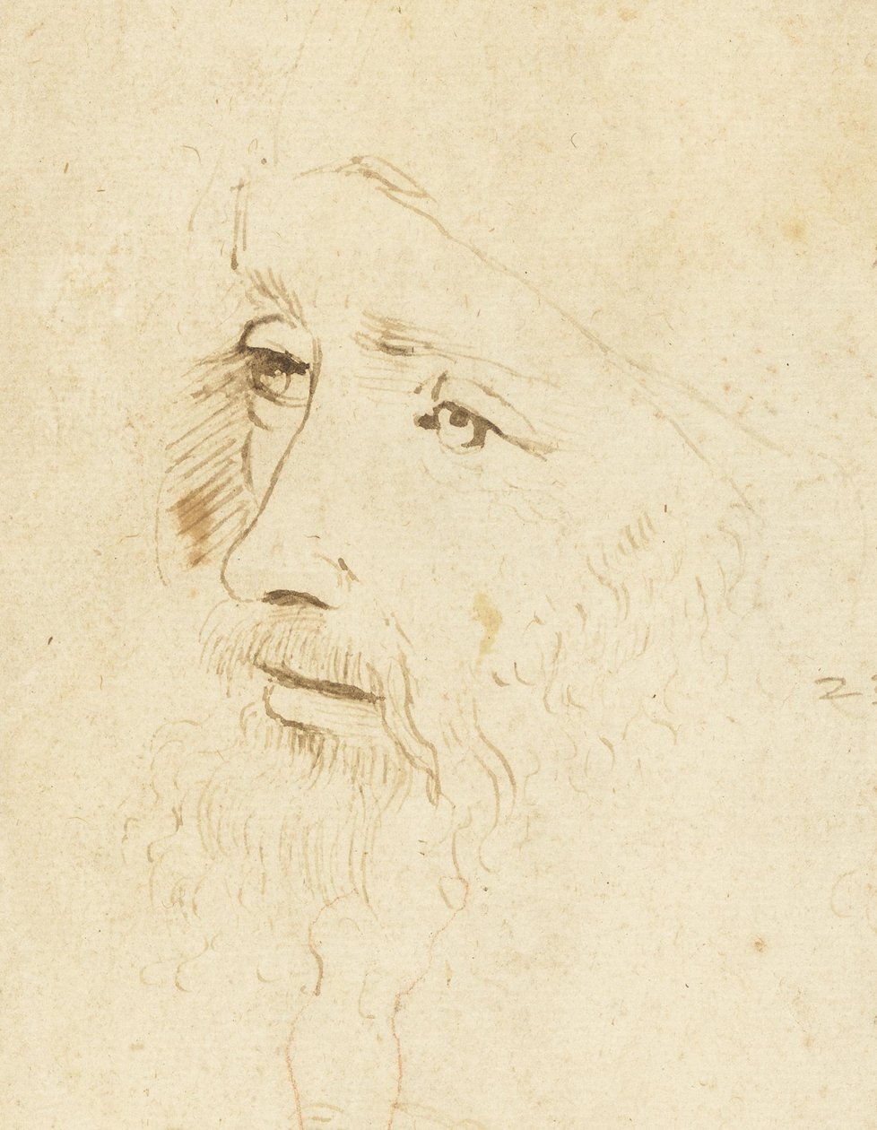 Portræt af Leonardo da Vinci, ca 1518. af Leonardo da Vinci,