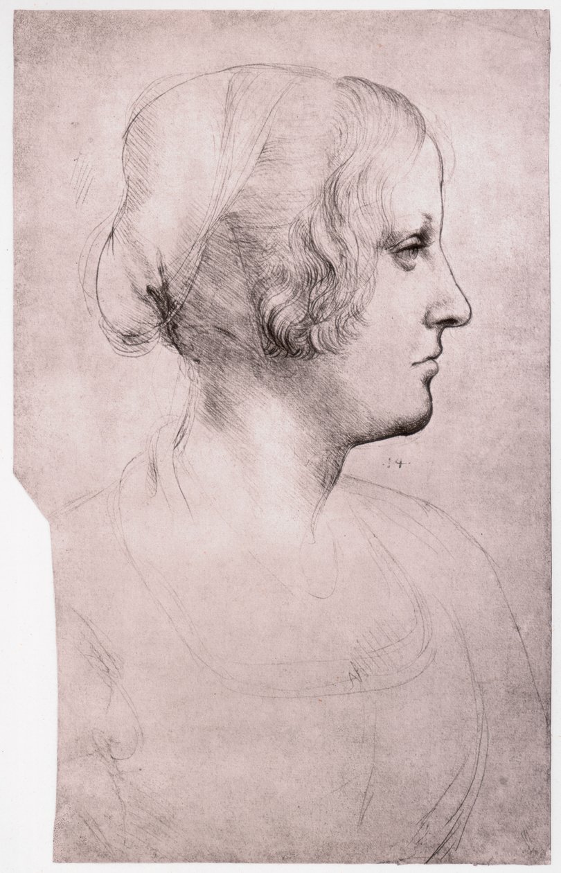 Portræt af en pige med kasket, 1493-1495 af Leonardo da Vinci