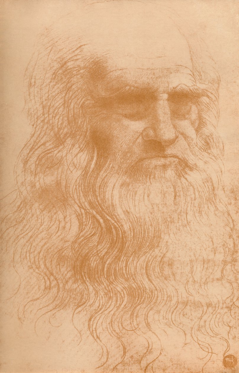 Portræt af en mand i rødt kridt, c1512, 1932 af Leonardo da Vinci