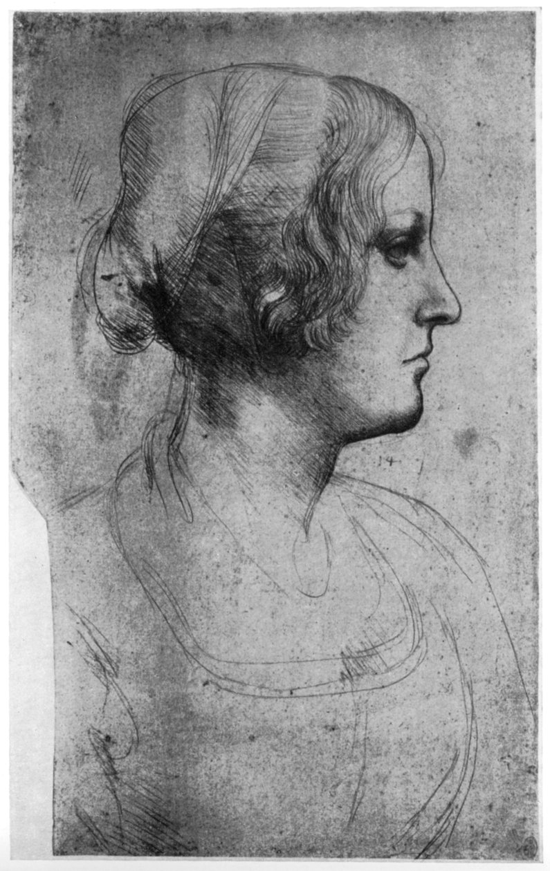 Portrætstudie af en ung piges hoved, 1400-tallet 1954. af Leonardo da Vinci