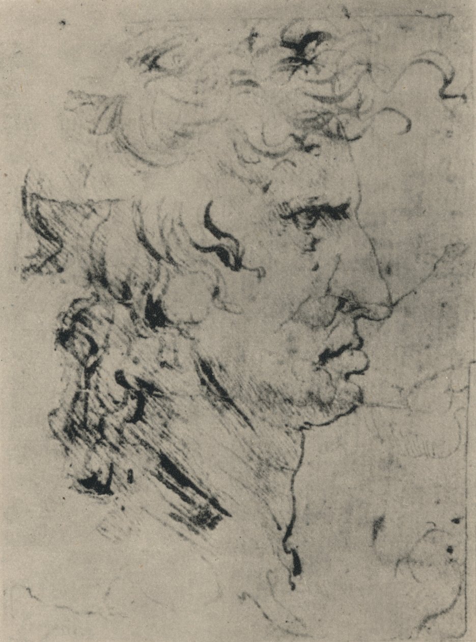 Profil af en mand til højre, c1480 1945 af Leonardo da Vinci
