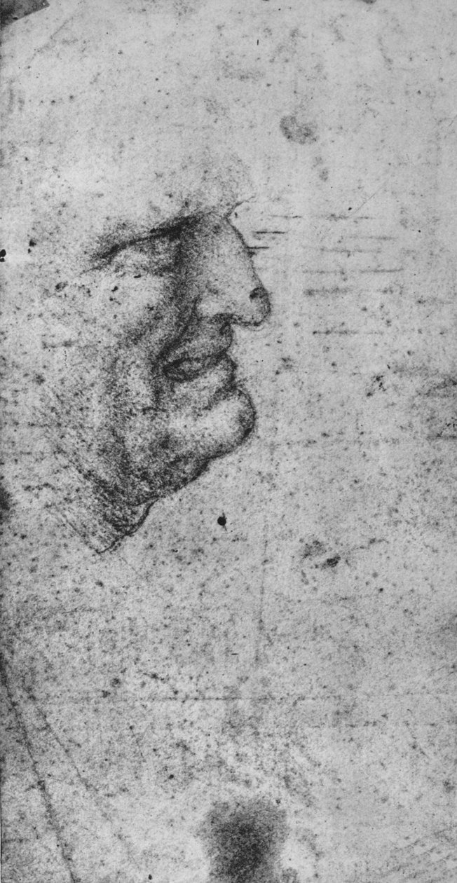 Profil af en mand med sammenbidte tænder, c1480 1945 af Leonardo da Vinci