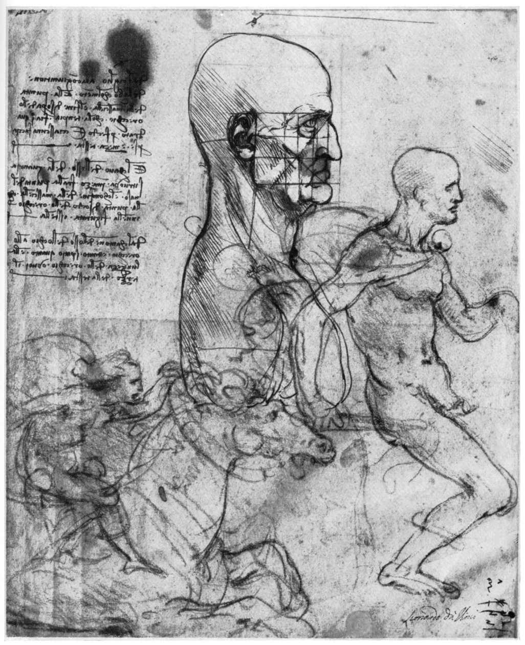 Profil af en mands hoved og studier af to ryttere, c1490 og c1504 1954. af Leonardo da Vinci