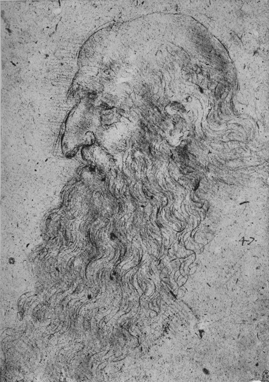 Profil af en gammel, skægget mand til venstre, c1480 1945 af Leonardo da Vinci