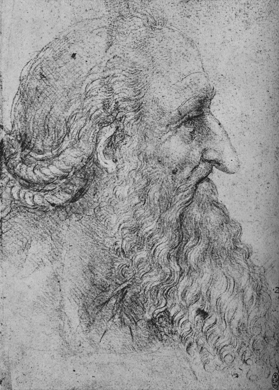 Profil af en gammel, skægget mand til højre, c1480 1945 af Leonardo da Vinci