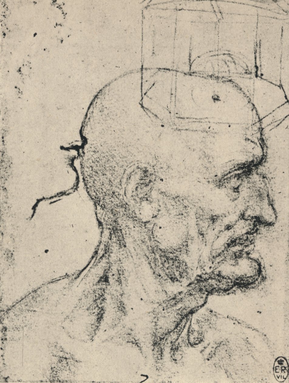 Profil til højre for en skaldet mand, c1480 1945 af Leonardo da Vinci