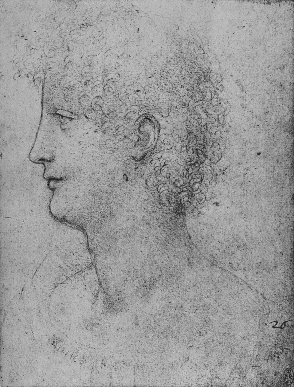 Profil til venstre for en ung med krøllet hoved, c1480 1945 af Leonardo da Vinci