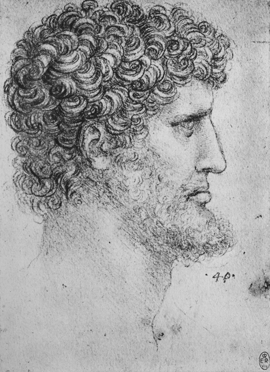 Profil til højre for en skægget mand, c1480 1945 af Leonardo da Vinci