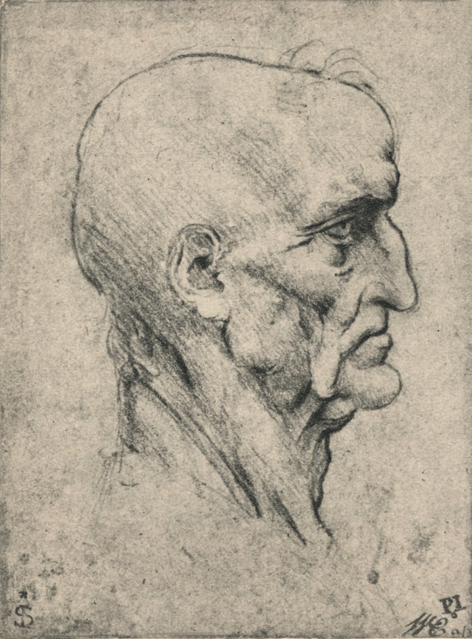 Profil til højre for en ældre skaldet mand, c1480 1945 af Leonardo da Vinci