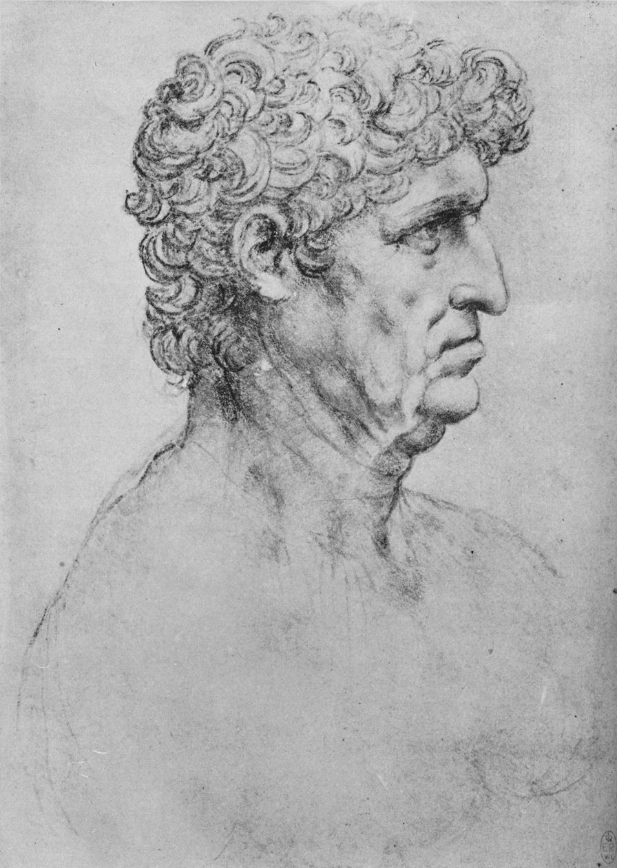 Profil til højre for en ældre mand, c1480 1945 af Leonardo da Vinci