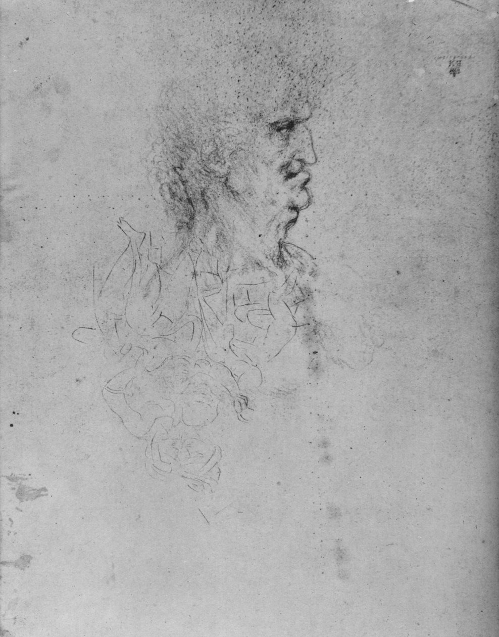 Profil til højre for en gammel mand, c1480 1945 af Leonardo da Vinci