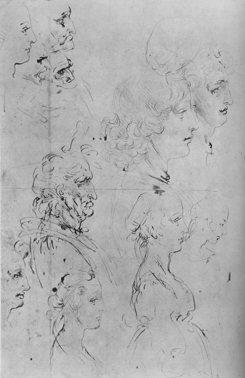 Profiles of Men and Half-Length of a Girl, c1490 1945 af Leonardo da Vinci