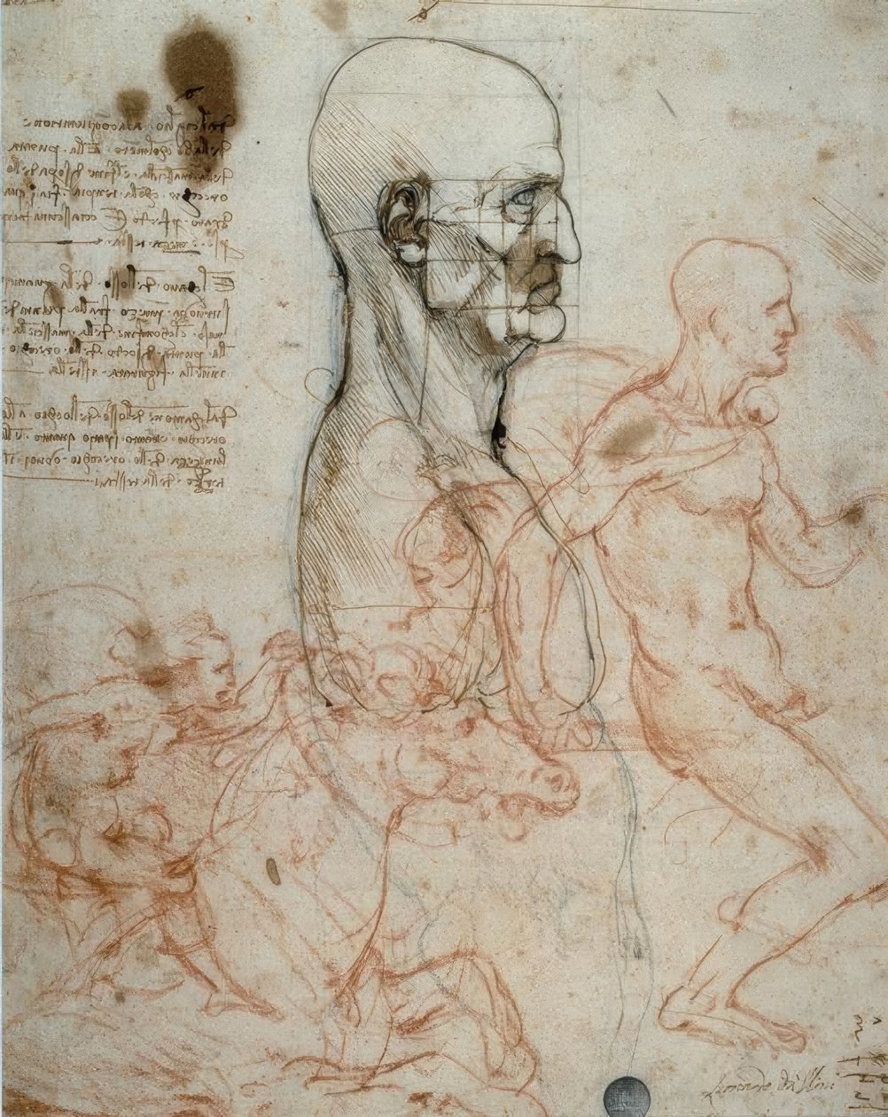 Proportionsplan for det menneskelige hoved og ridestudier af Leonardo da Vinci