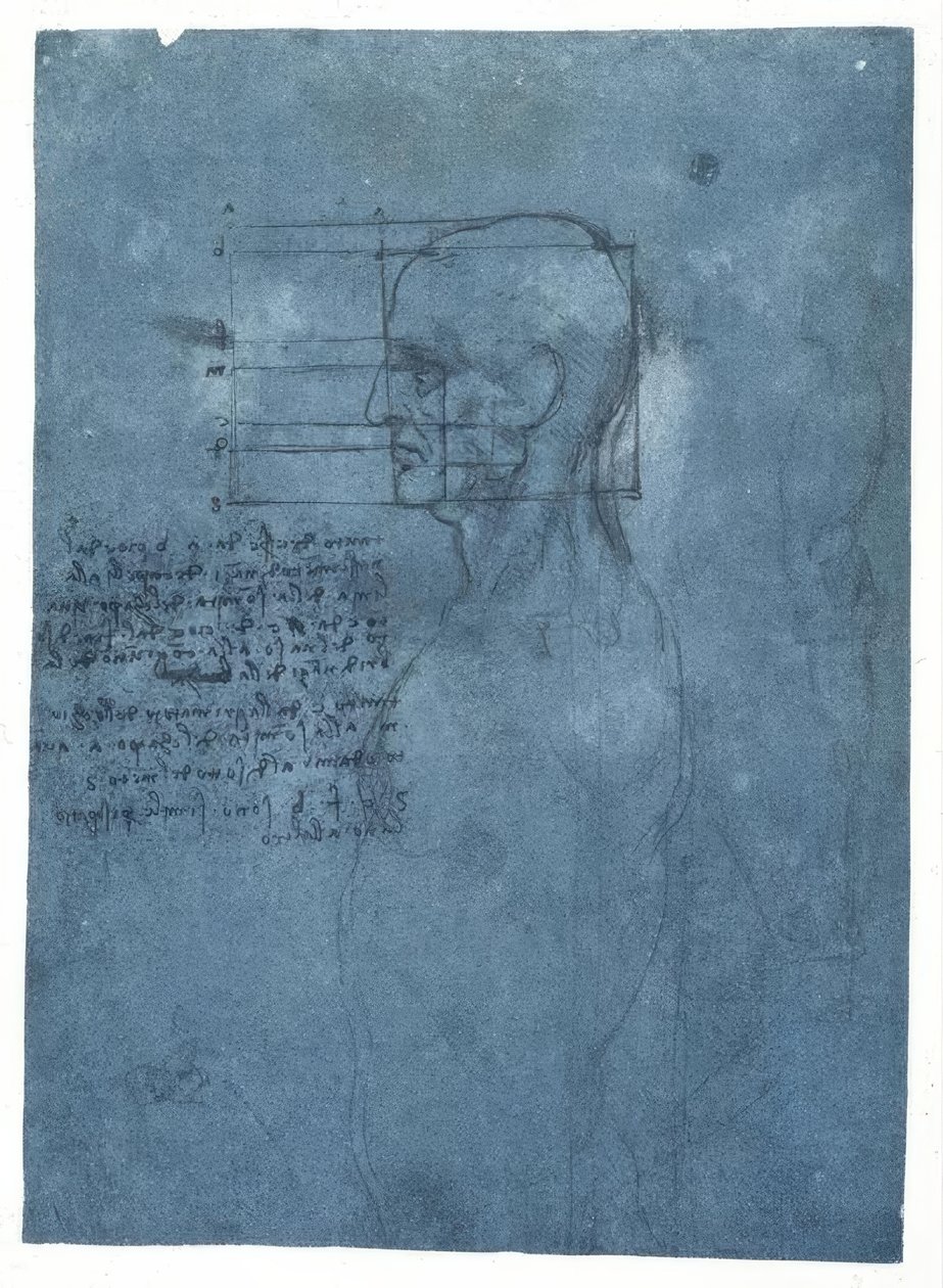 Proportionundersøgelse af et mandligt hoved i profil af Leonardo da Vinci