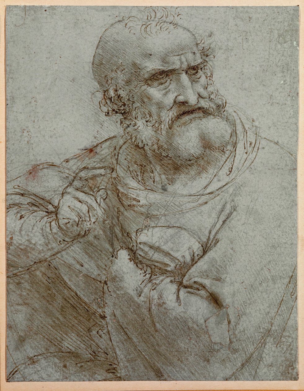  af Leonardo da Vinci