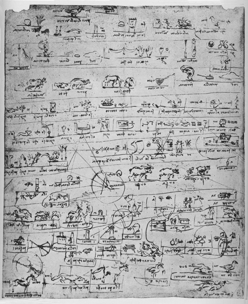 Ark med piktogrammer, c1480 1945 af Leonardo da Vinci
