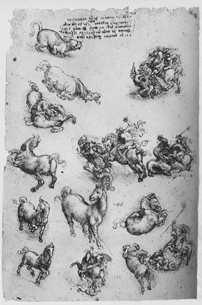 Ark med studier af heste, en kat og af St. George og dragen, c1480 1945 af Leonardo da Vinci