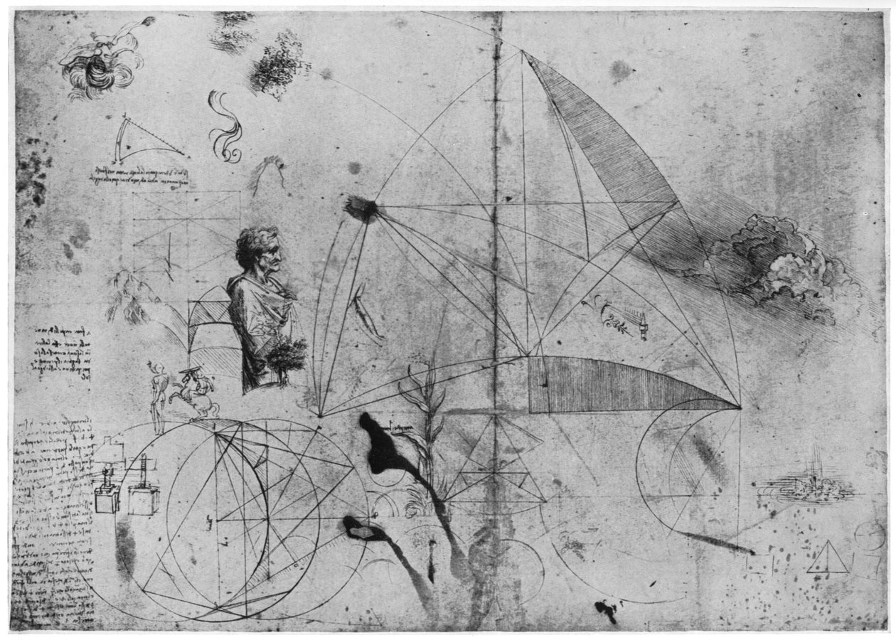Studieark, slutningen af det 15. eller begyndelsen af det 16. århundrede 1954. af Leonardo da Vinci