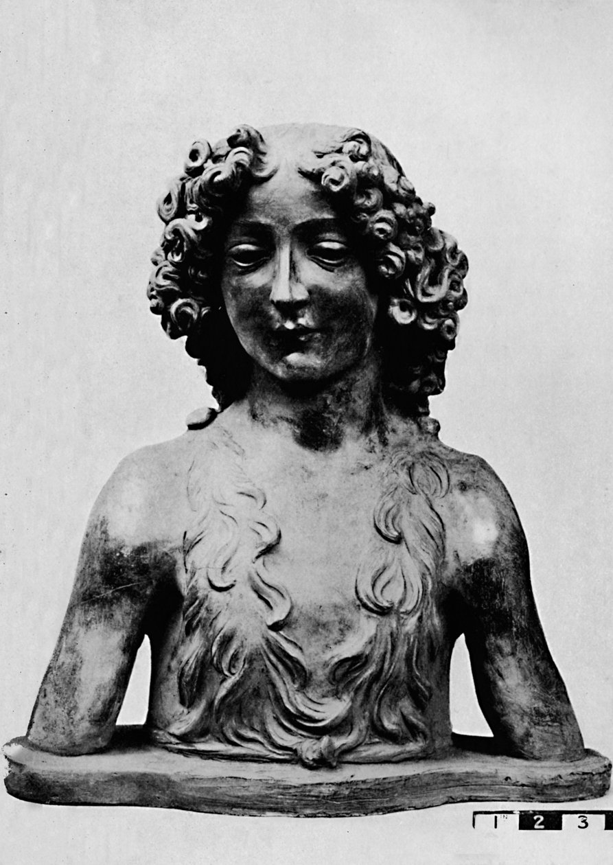 Johannes Døberen som ung, 1928 af Leonardo da Vinci