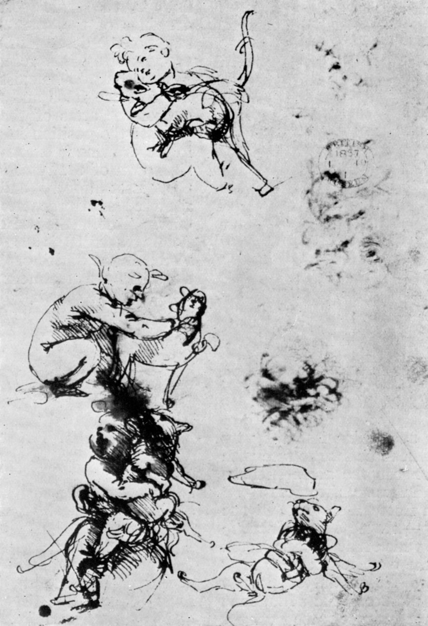 Studier til en Madonna Del Gatto, 1400-tallet 1930. af Leonardo da Vinci