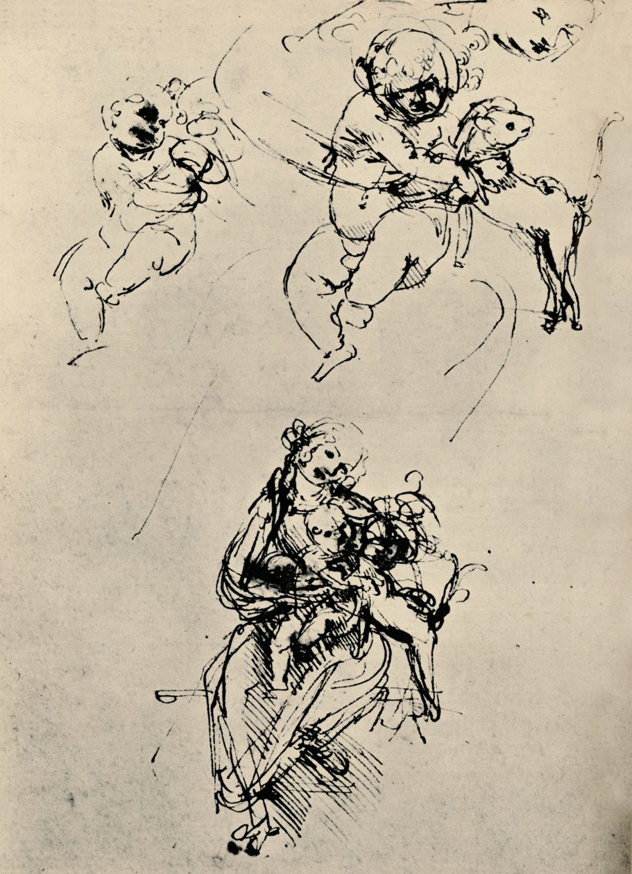 Studier for en madonna og et barn med en kat, 1478-1480 1945 af Leonardo da Vinci