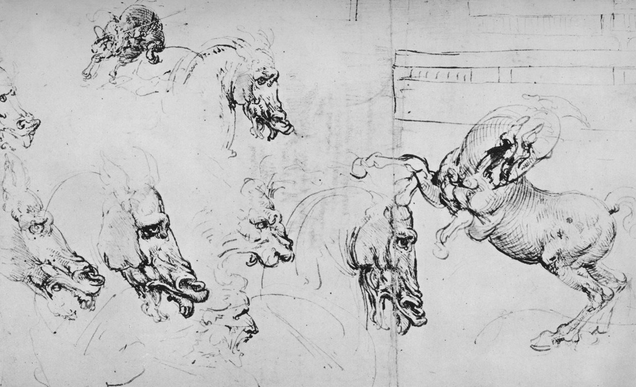 Studier af hestehoveder og en opdrætshest, c1480 1945 af Leonardo da Vinci