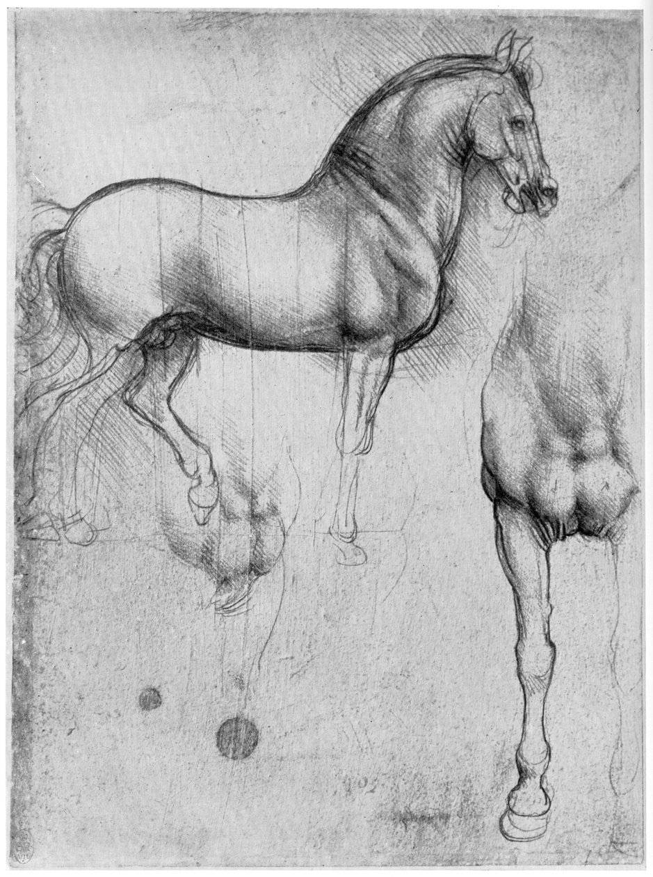 Studier af heste, c1490 1954 af Leonardo da Vinci