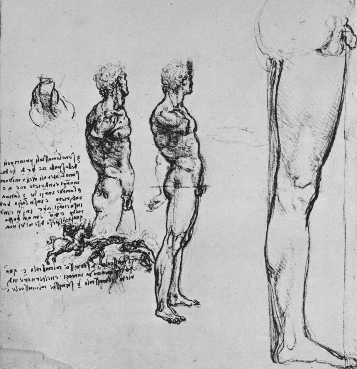 Studier af nøgenbilleder og mindre skitse af et slag, c1480 1945 af Leonardo da Vinci