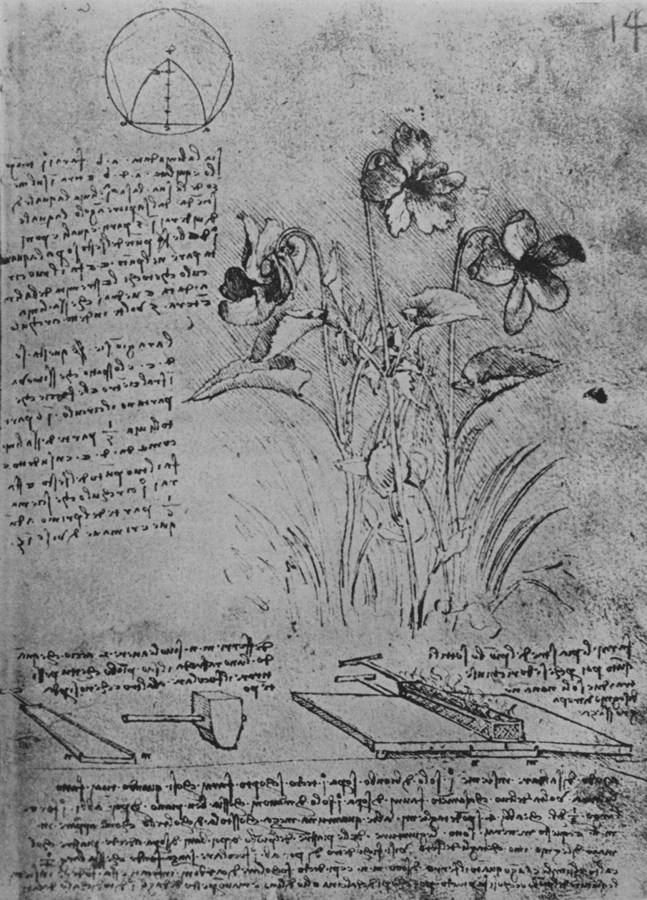 Studier af violaer og metoder til lodning af blytag, c1480 1945 af Leonardo da Vinci