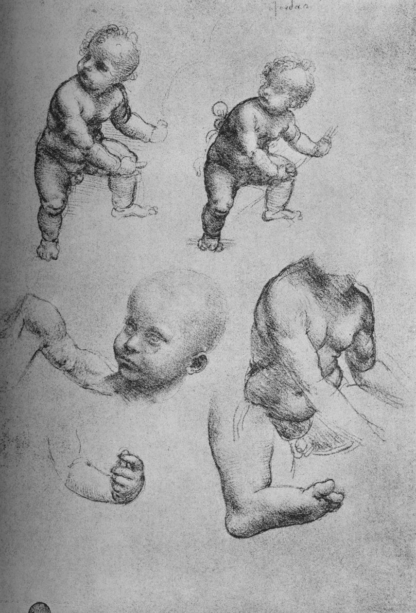 Studier af et barn og dele af et barn, c1480 1945 af Leonardo da Vinci