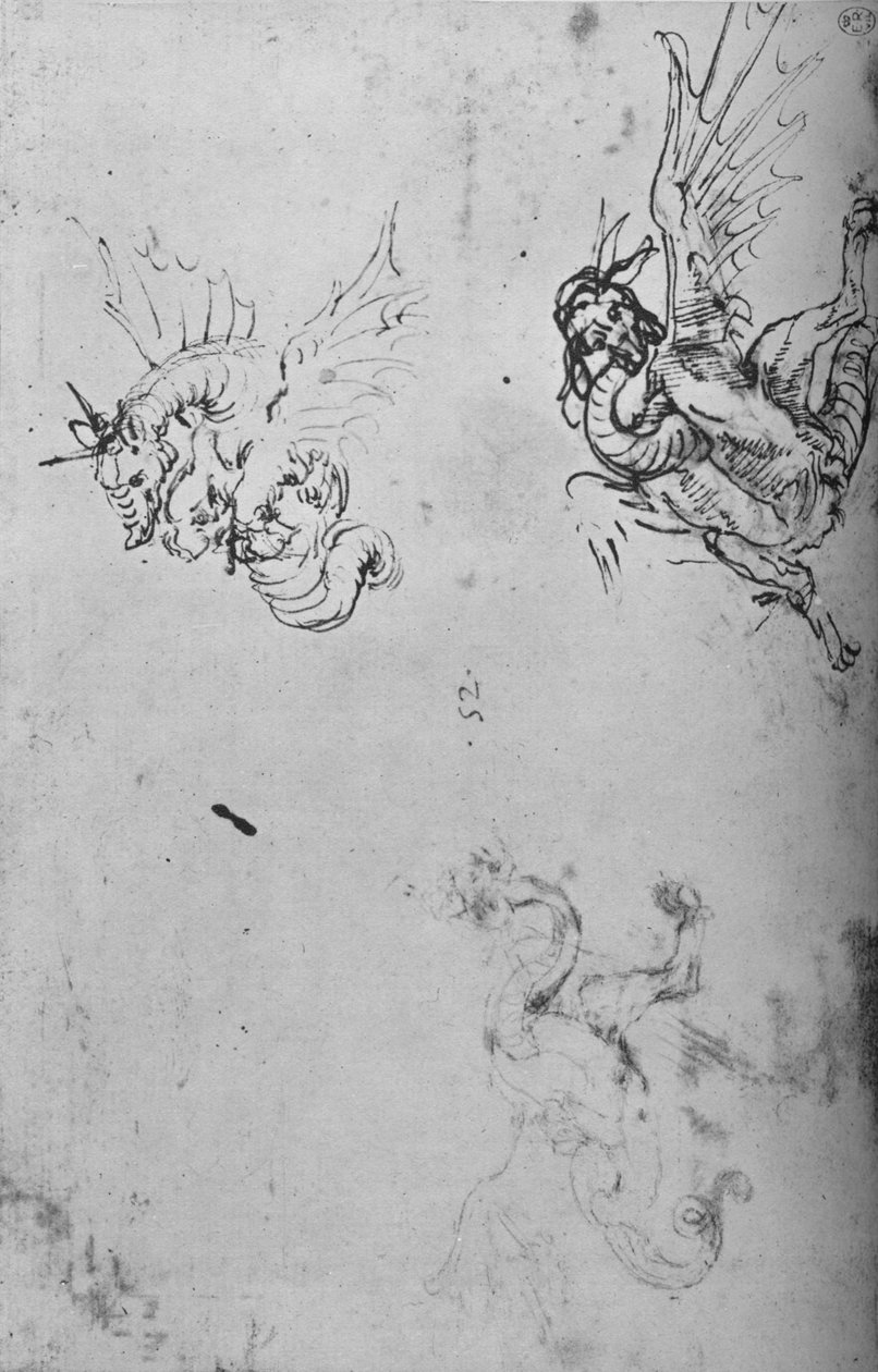 Studier af en drage, c1480 1945 af Leonardo da Vinci