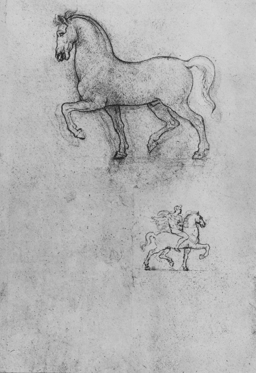 Studier af en hest og en af en hest og rytter, c1480 1945 af Leonardo da Vinci