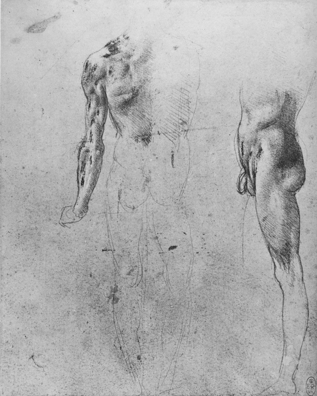 Studier af en nøgen mand set fra ryggen og fra siden, c1480 1945 af Leonardo da Vinci