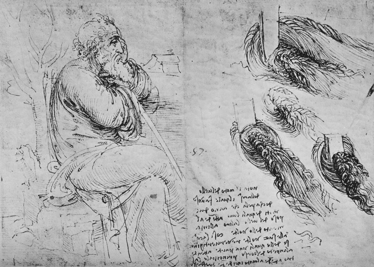 Studier af en siddende gammel mand og af hvirvlende vand, c1480 1945 af Leonardo da Vinci
