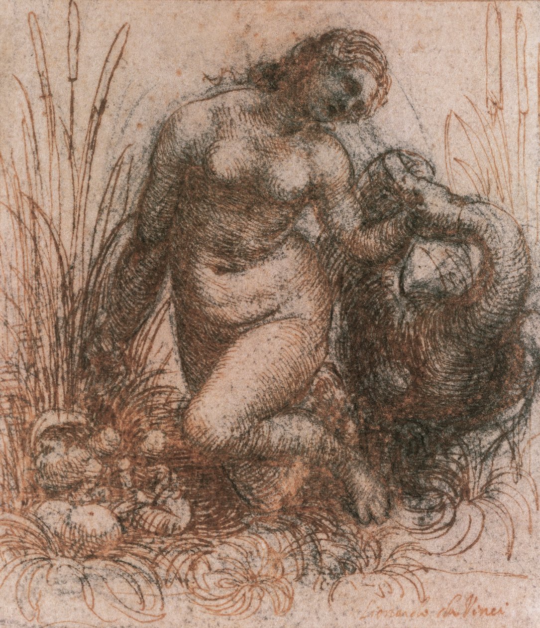 Study for Leda and the Swan af Leonardo da Vinci (1452-1519), tegning af Leonardo da Vinci