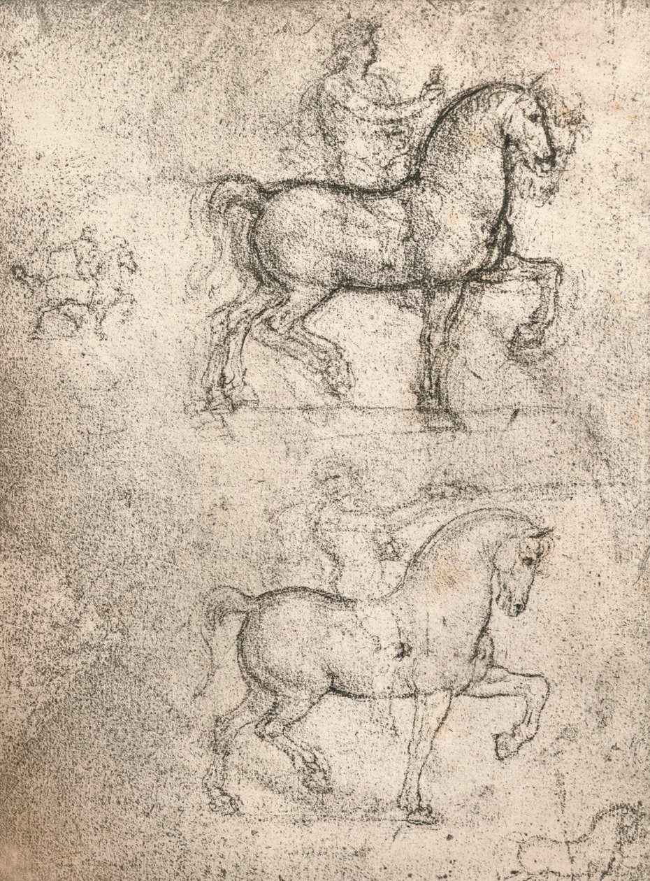 Studie til Sforza-monumentet, c1482-c1499 1883 af Leonardo da Vinci