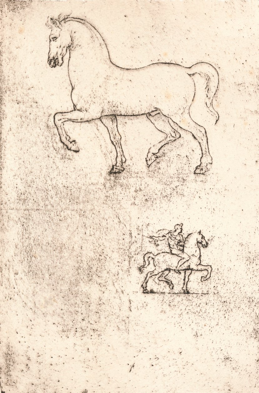 Studie til Sforza-monumentet, c1482-c1499 1883 af Leonardo da Vinci