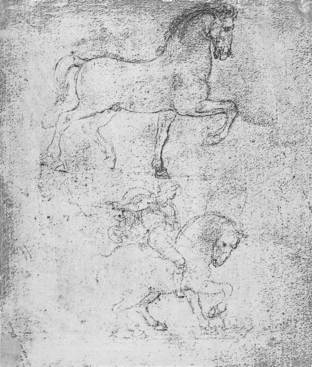 Studie til Sforza-monumentet, c1482-c1499 1883 af Leonardo da Vinci
