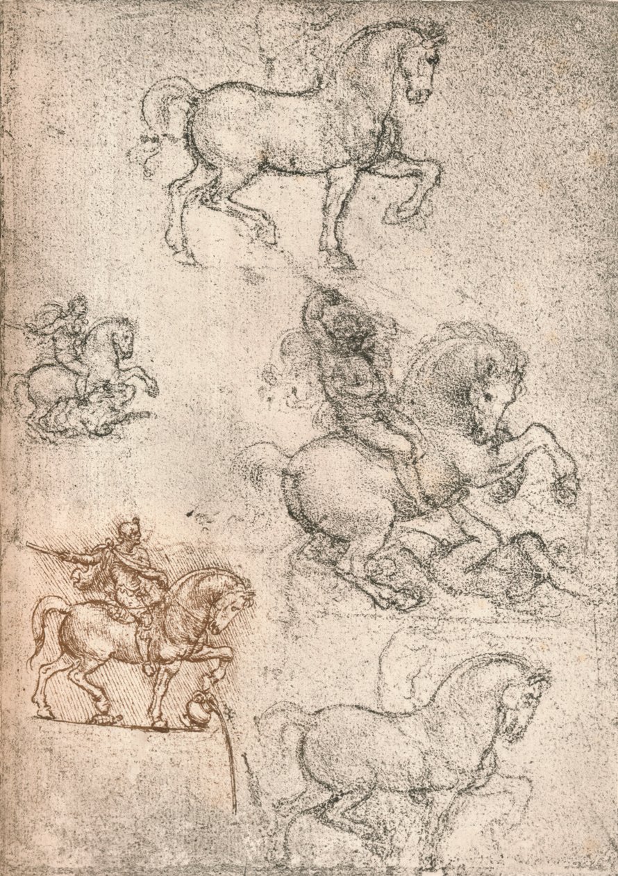 Studie til Sforza-monumentet, c1482-c1499 1883 af Leonardo da Vinci